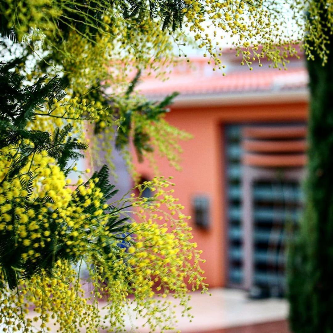 Thalassa Hotel & Spa Paleros Buitenkant foto
